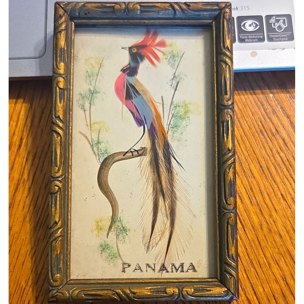 Feather Art Bird In Vintage Frame